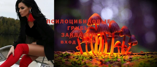 COCAINE Новодвинск