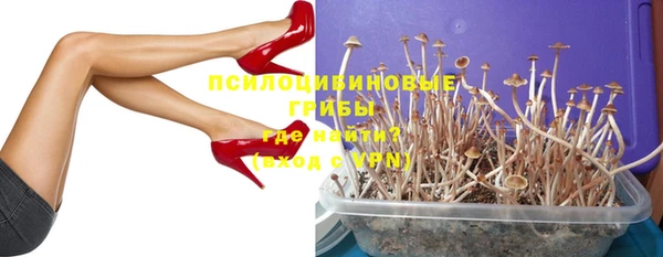 ешки Новозыбков