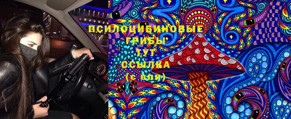 ешки Новозыбков