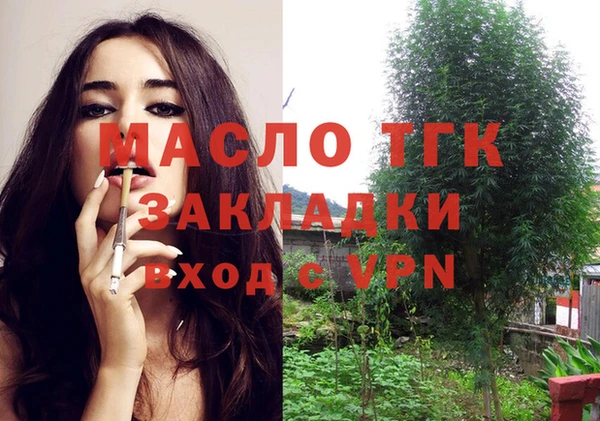 ешки Новозыбков