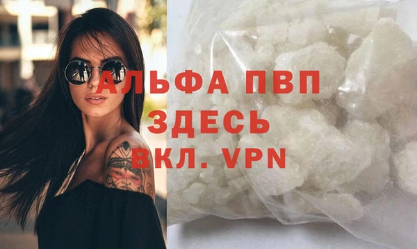 ешки Новозыбков