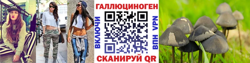 Галлюциногенные грибы Psilocybe  Мамоново 